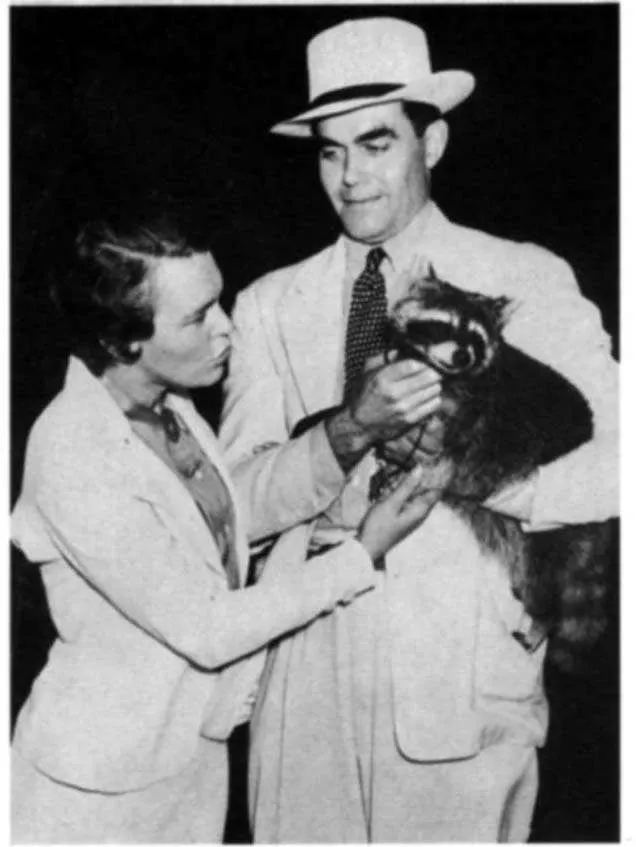 艾略特夫婦以及他們的家養小浣熊