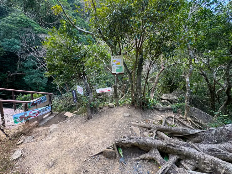 左邊的橋因颱風封閉,右邊下切後走橋底可通往對岸