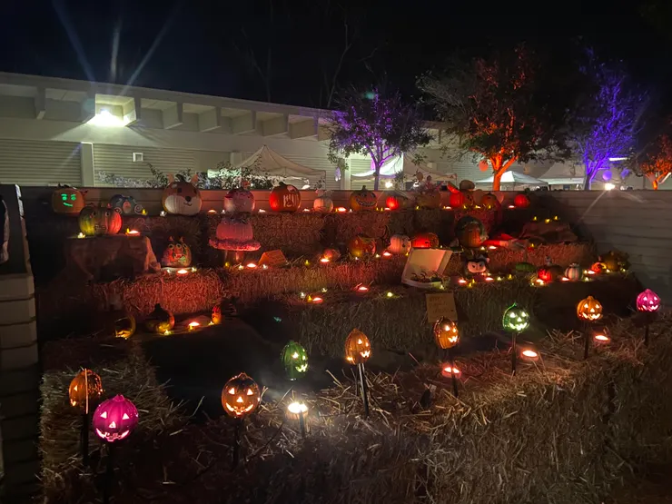 還有南瓜雕刻作品讓孩子們投票