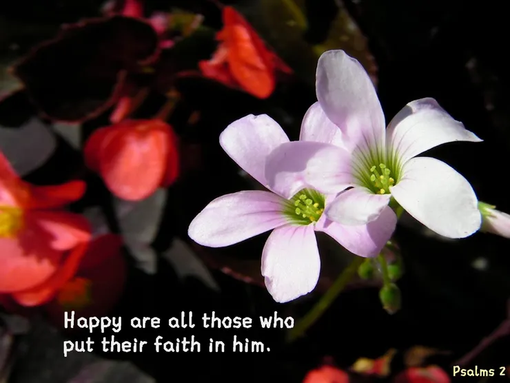 Happy are all those who put their faith in Him. 