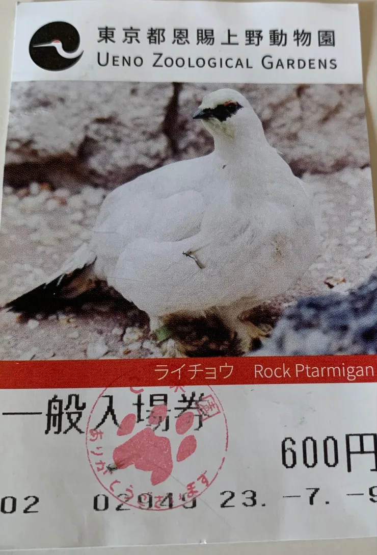 上野動物園大人票