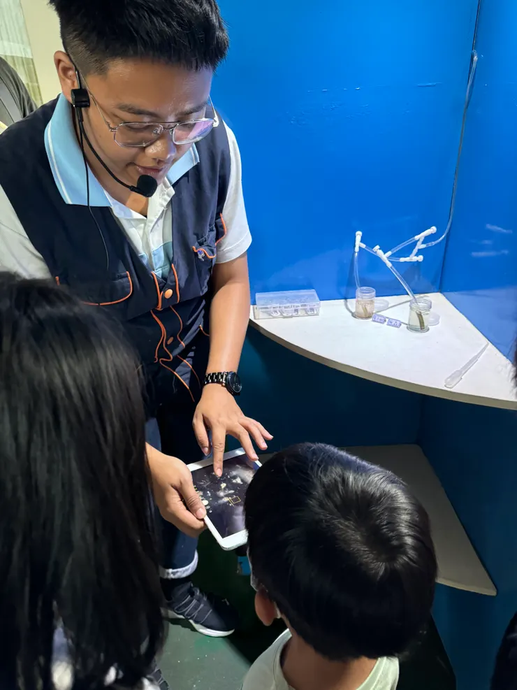 看到浮游生物的真面目