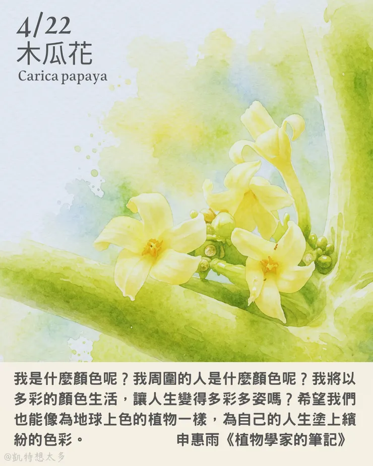 木瓜花×申惠雨《植物學家的筆記》