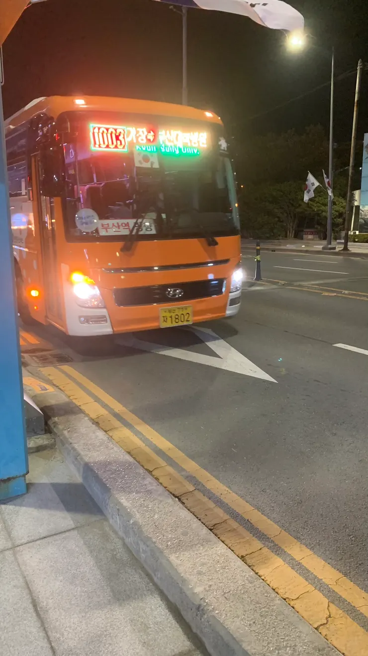 搭公車來去看夜景。