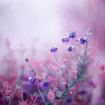 編輯不務正業的沙龍