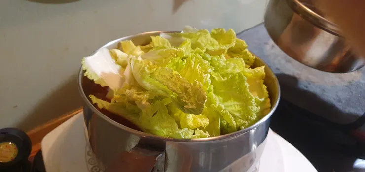 宅食儀式之求生筆記_加入最近很著迷的娃娃菜