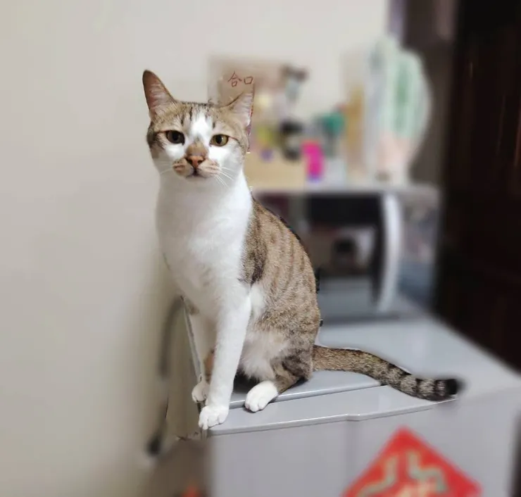 看似隨心所欲的寶寶，其實超愛撒嬌的