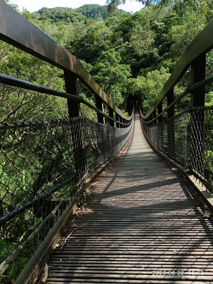 鳥鳴空橋映影留