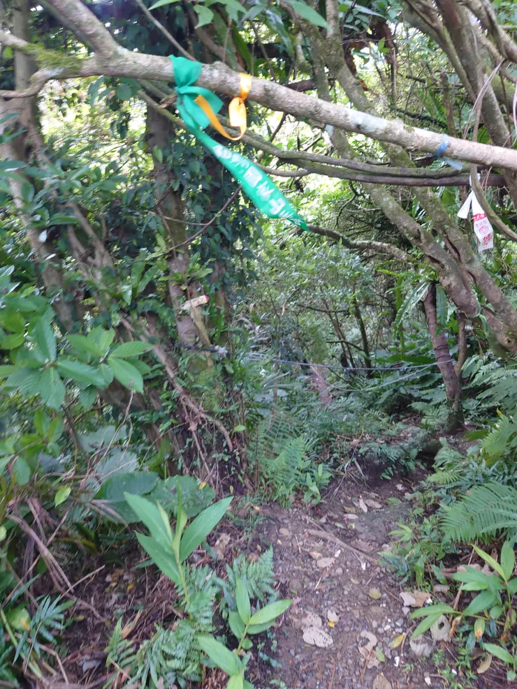 從基地台門口前面20幾公尺處下切，請放心有明顯路邊與布條，你很難錯過