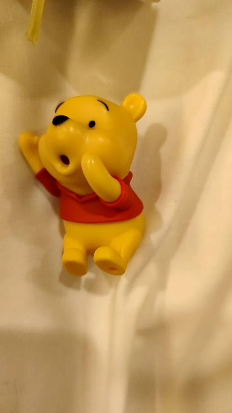 幸運第一次就抽到維尼