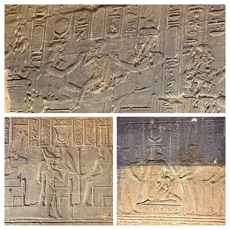 更多荷魯斯接受哺乳的圖像