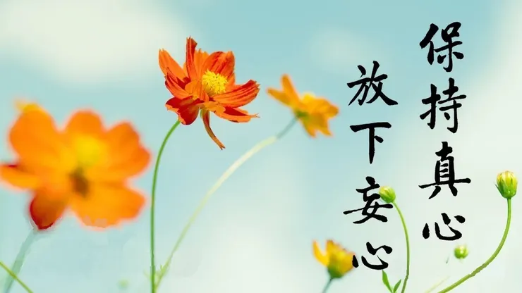 破除妄想執著，念這句「阿彌陀佛」，把障礙念掉