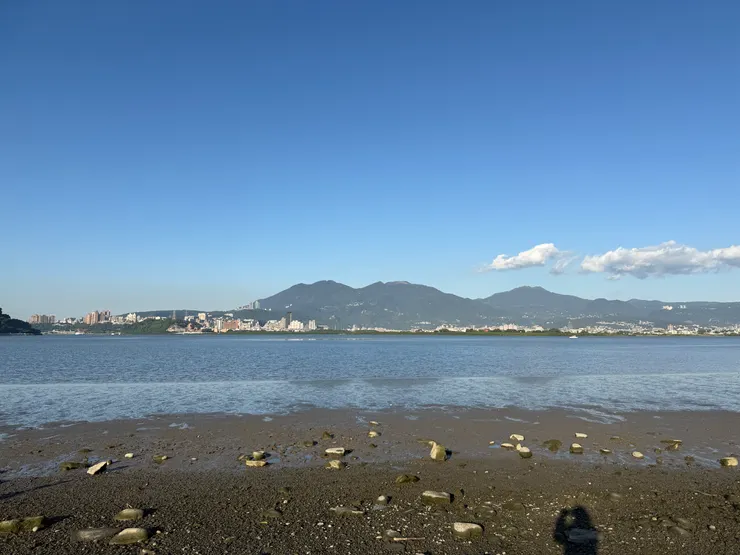 2026/01/04 濕地風景