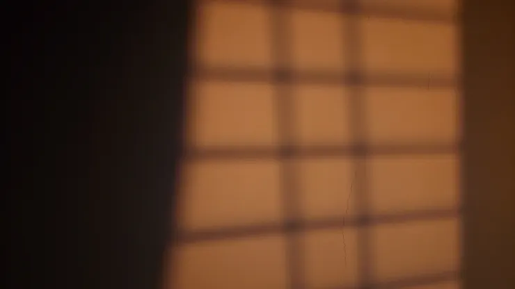 在夕陽照射下，牆面上的窗戶投影