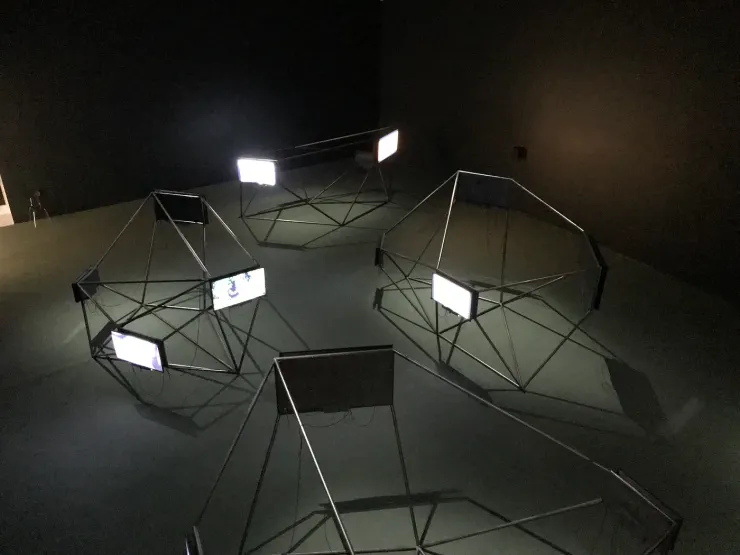 讓–米歇．弗東＋拉夏．莎提；COLLECTIVE Jean-Michel FRODON and Rasha SALTI with COLLECTIVE 《跨物種影像交會》，2020