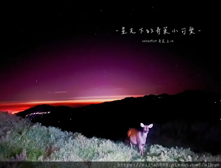 【來去奇萊主北】D2奇萊北峰追日出/從稜線營地出發/一日奇萊