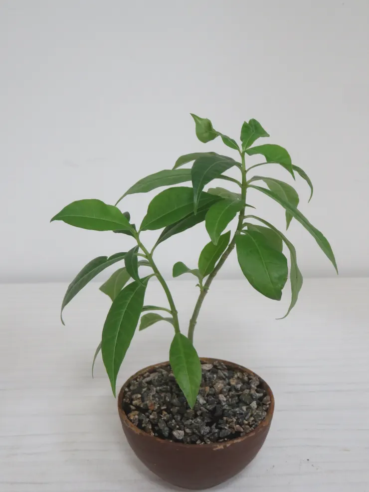 萬里豆豆112.07.07