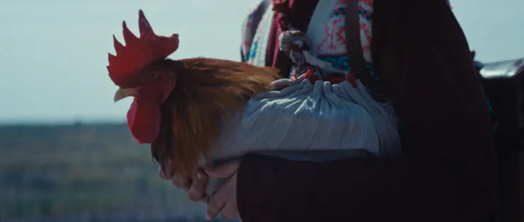 《總統的蛋糕》電影劇照/劇照提供:光年映畫