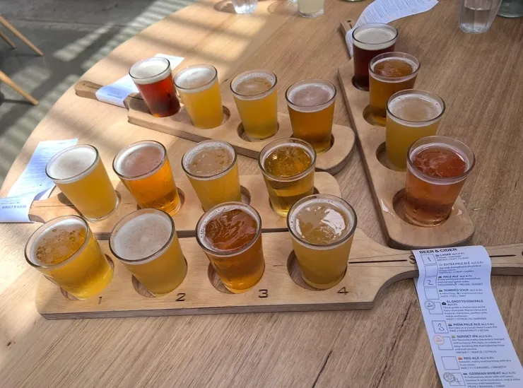 一人四杯，過癮呀！