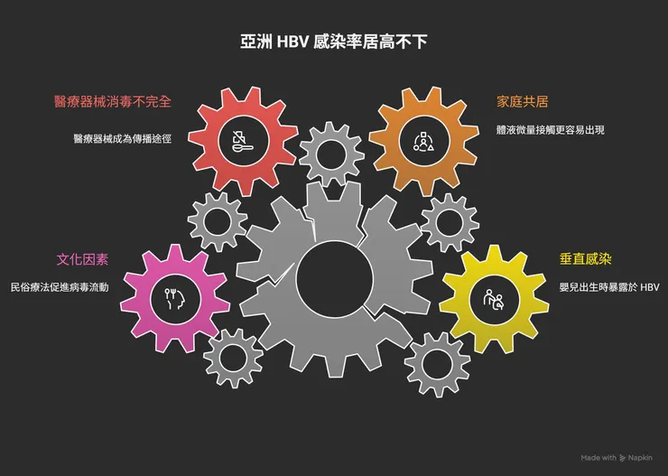 亞洲B肝盛行原因