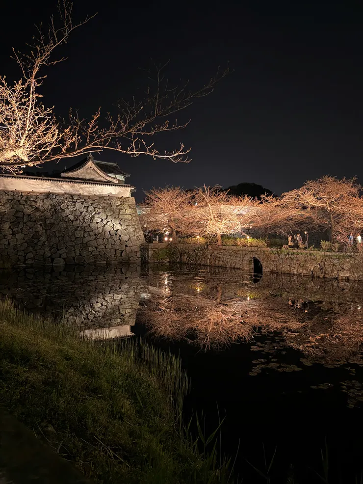 舞鶴公園內的福岡城跡下之橋，櫻花還沒開，可惜了（2026年3月27日）