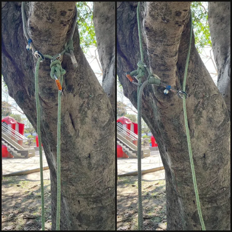 頂部固定點-樹皮保護器