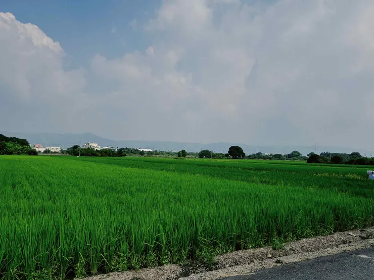 回家了。/影像提供:潘客印