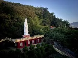 觀音巨像眺望遠處（圖片截圖於網路）