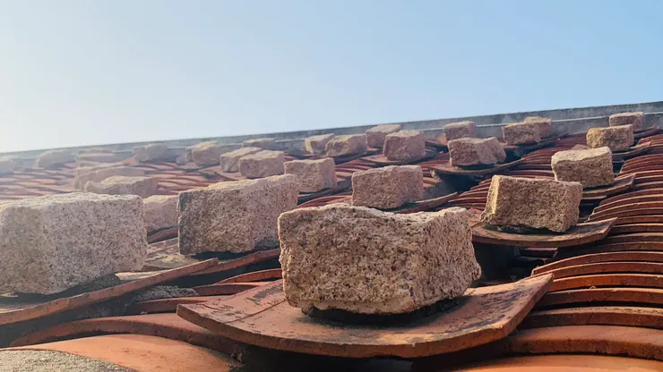 防風的方法意外成了漂亮的景色。