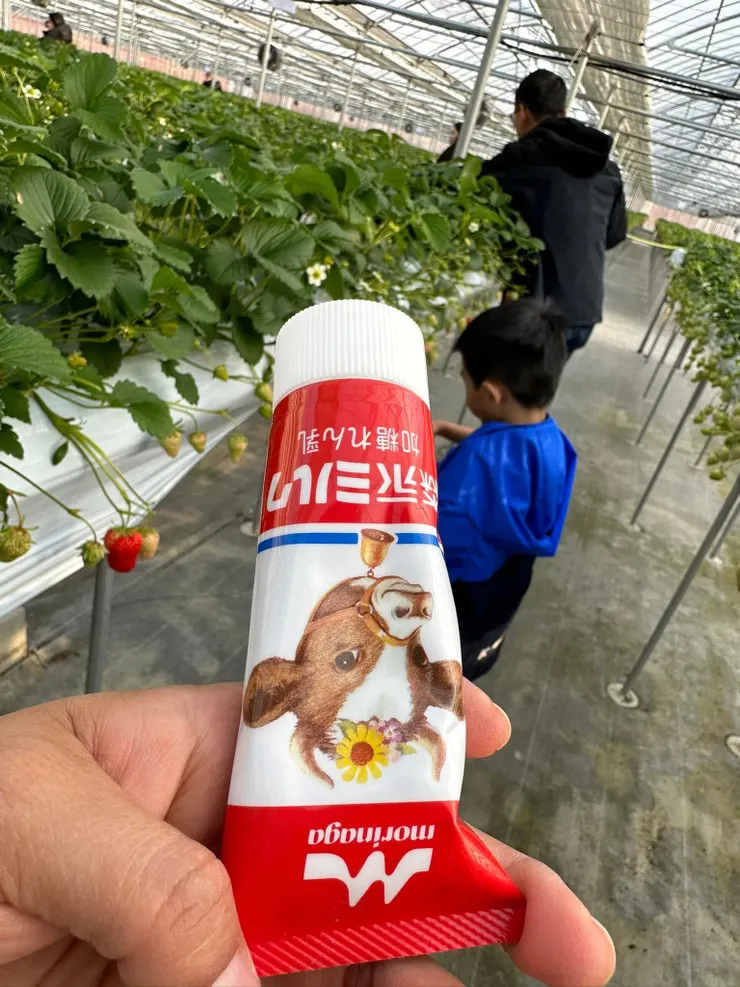 在草莓園買的煉乳條