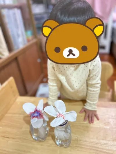 【春天系列活動：在家裡綻放的美麗花朵！】 🌷✨