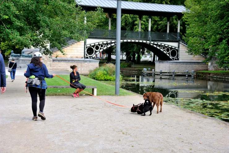 【河流草地池塘森林與沃邦城堡 有兒童嬉戲市民慢跑綿羊吃草。背景為Pont Napoléon橋。】