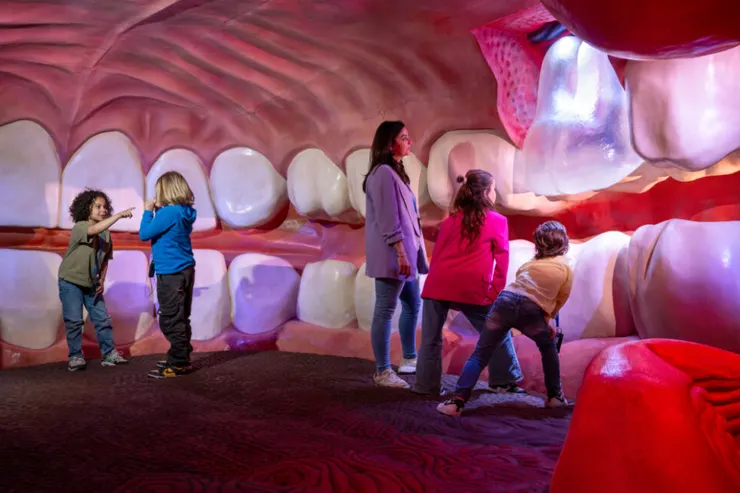 圖片來源:dumoreizen.nl網站