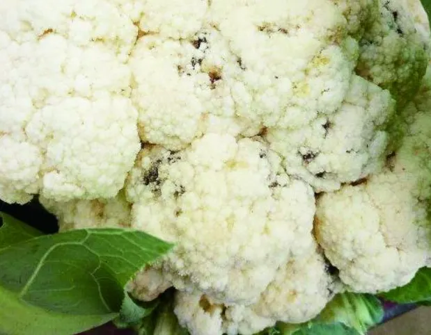 #花椰菜有黑點還能吃嗎?  #Can you still eat cauliflower with black spots?