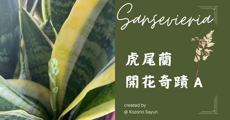 Canva+Moonshot+新新的魔法指令