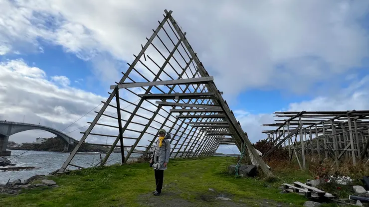 少見的三角形曬鱈魚架