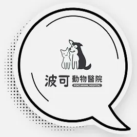 波可動物醫院官網