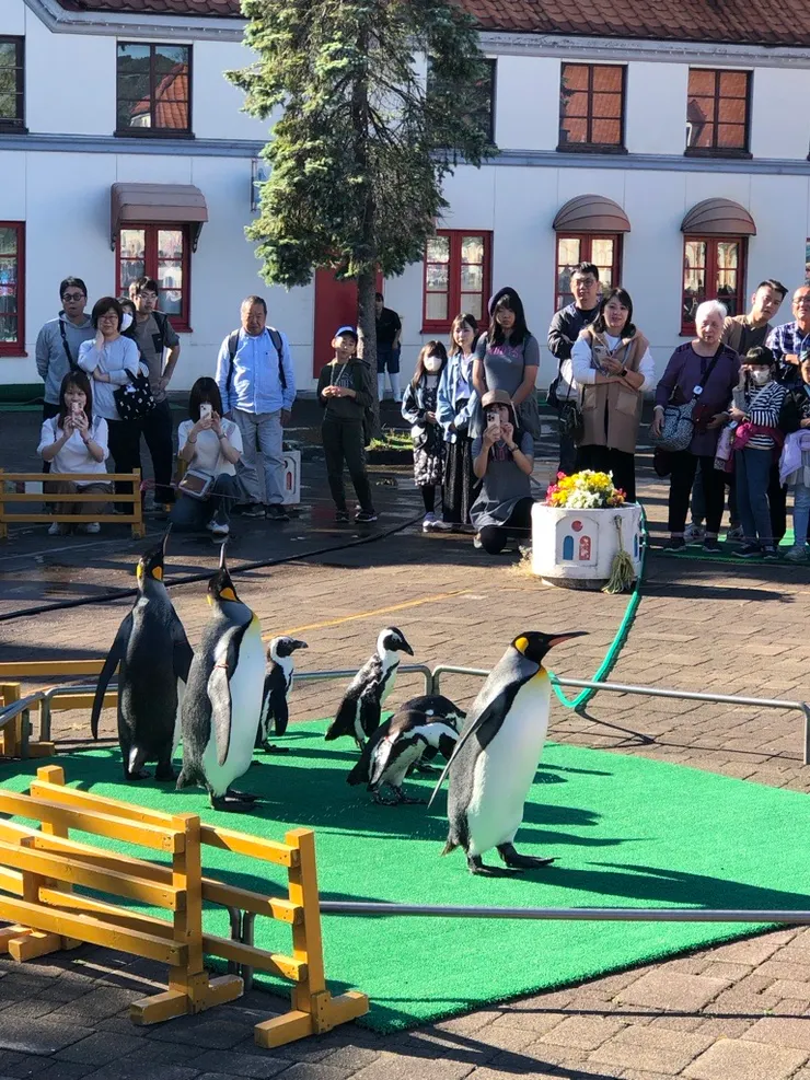 登別尼克斯海洋公園
