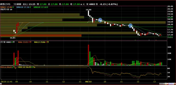錸德(2349)分時量價