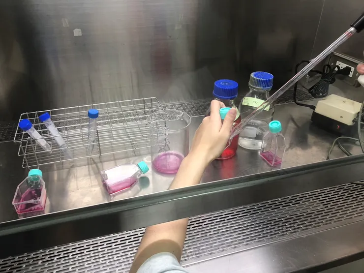 有點無趣的實驗課