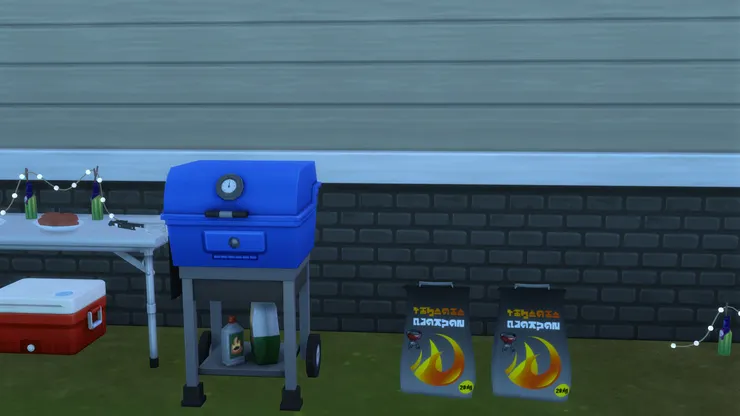 燒烤怎麼可以沒有炭?開玩笑嗎?