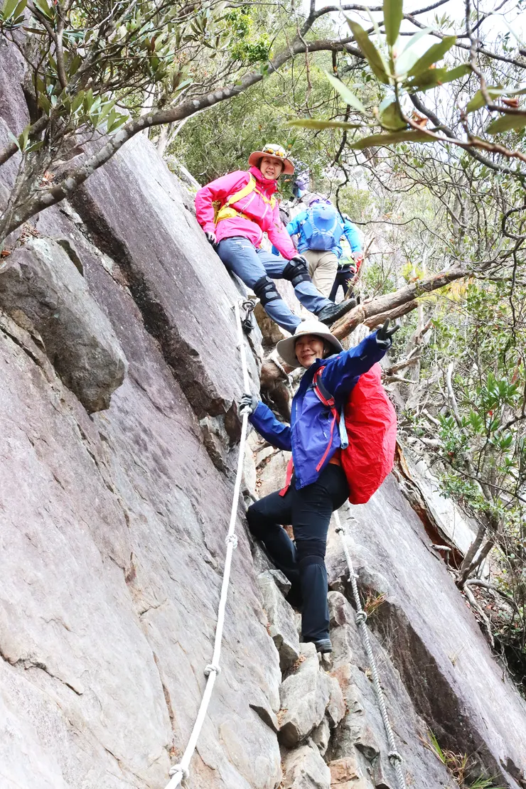 收杖順著陡峭的岩壁奮力往上爬。