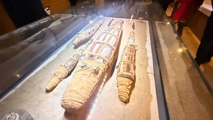 製作完成的木乃伊是包覆麻布的