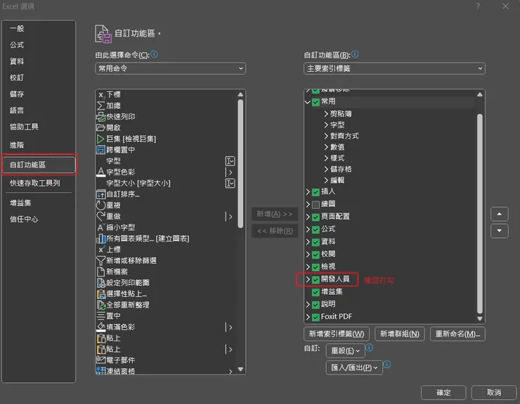 1.找到開發人員選項打勾。
