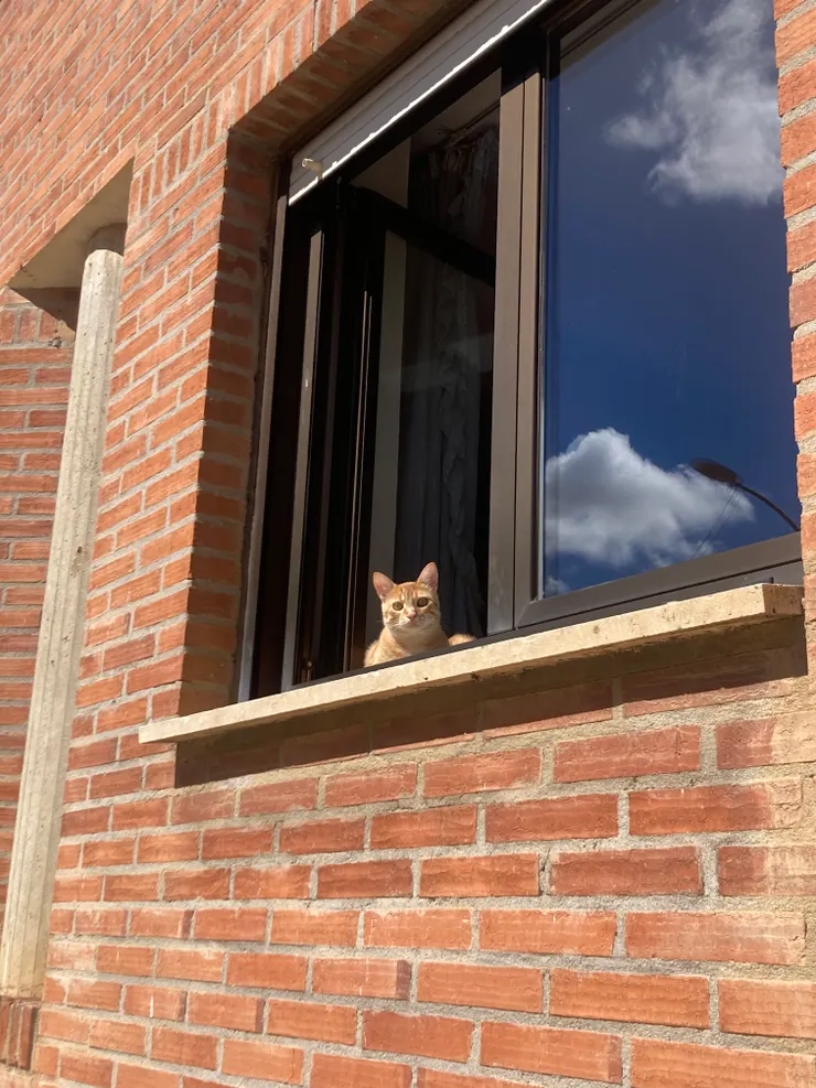 嗨，人類，你看起來好熱～