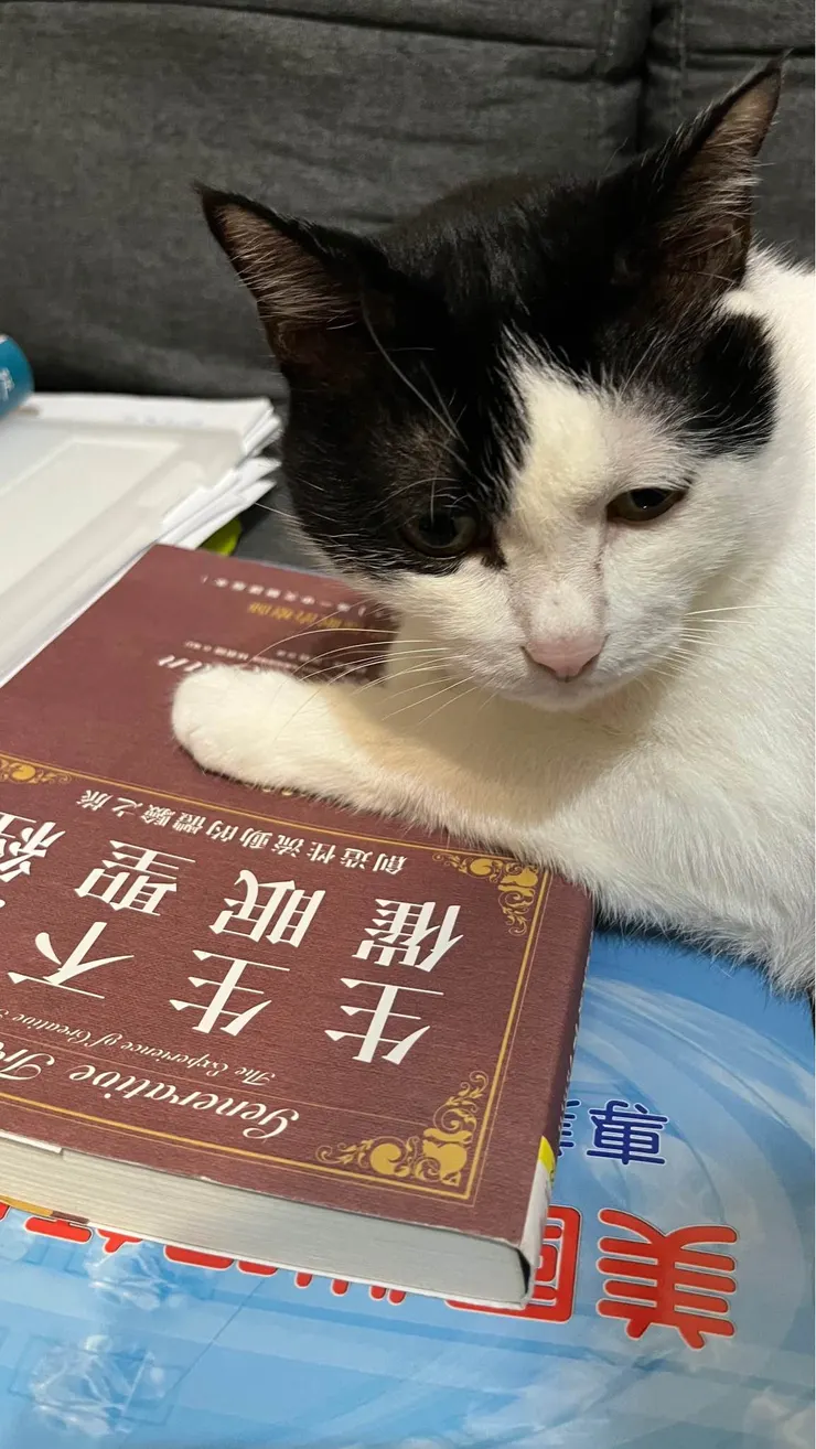 不只我愛催眠、我的貓也很愛...霸佔課本中。