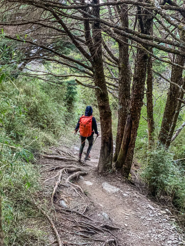 快噴下山趕五點前出梅山管制站，我不想被罰錢錢！！