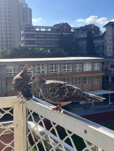 哪個求學階段最讓你印象深刻？