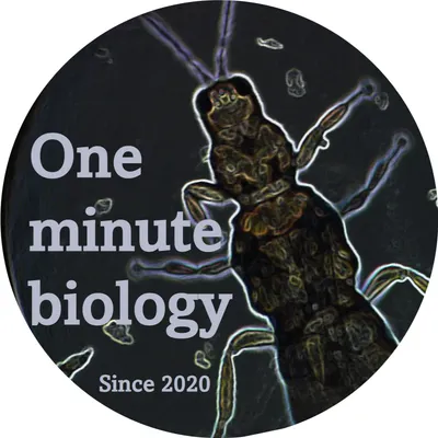 One minute biology的沙龍