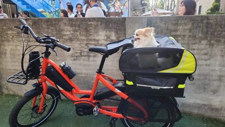 家裡最輕的選手是咻吉,只有3公斤而已。